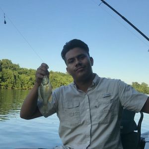 Meet your Posher, Jesse